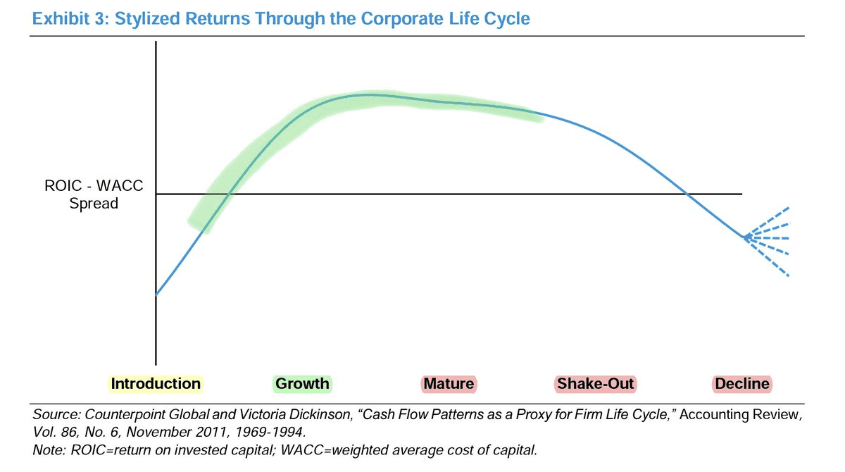 chart showing stylized returns (ROIC minus WACC spread) across five corporate life cycle stages: Introduction, Growth, Mature, Shake-Out, and Decline.