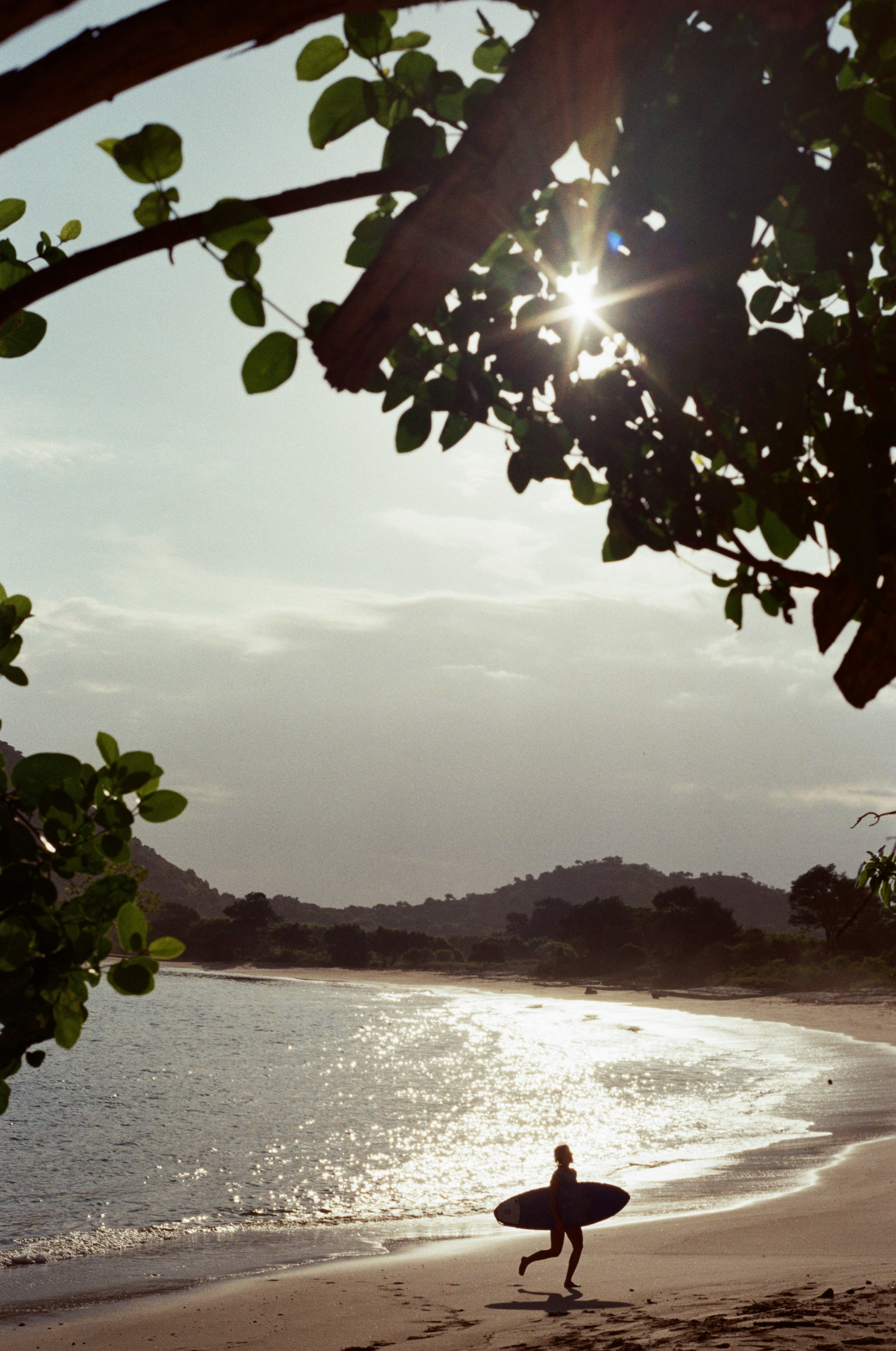 surfer on a sunset chasing waves and light
