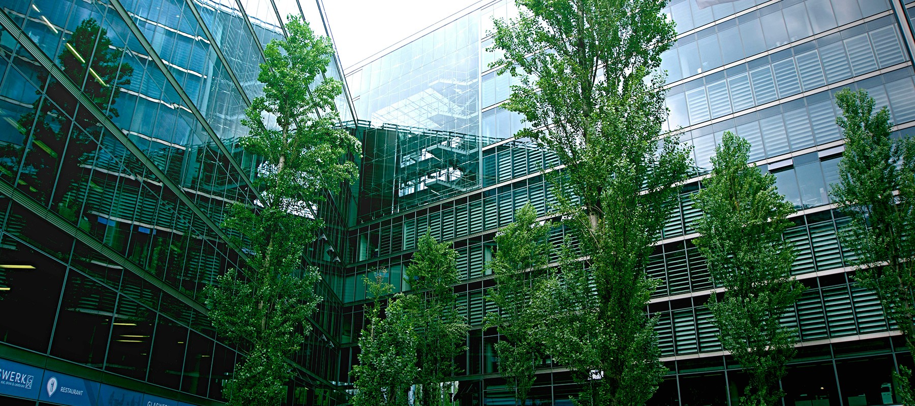 Blog Detail Image