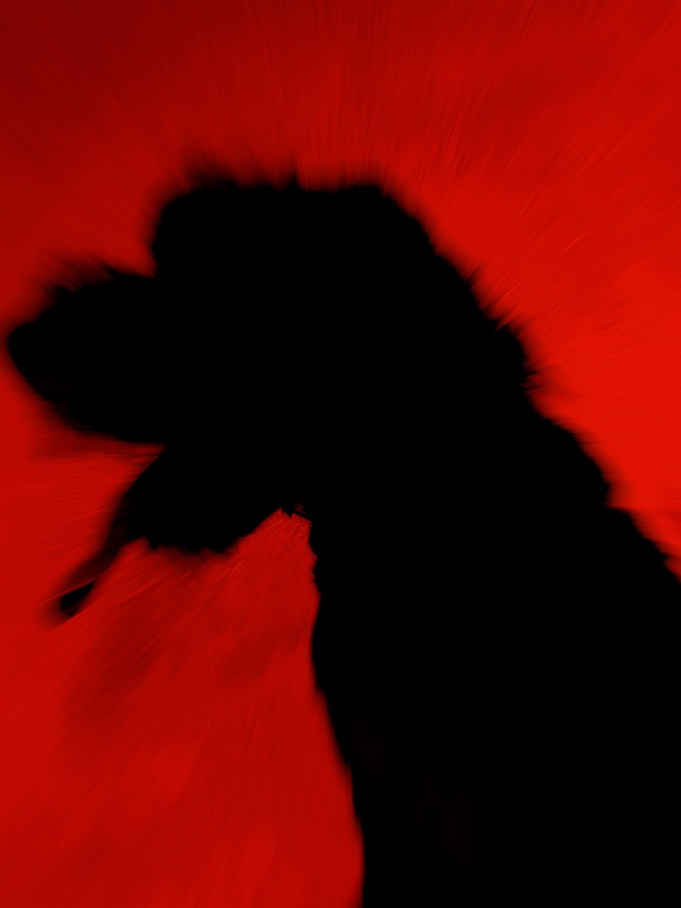 Woman Sit On The Floor