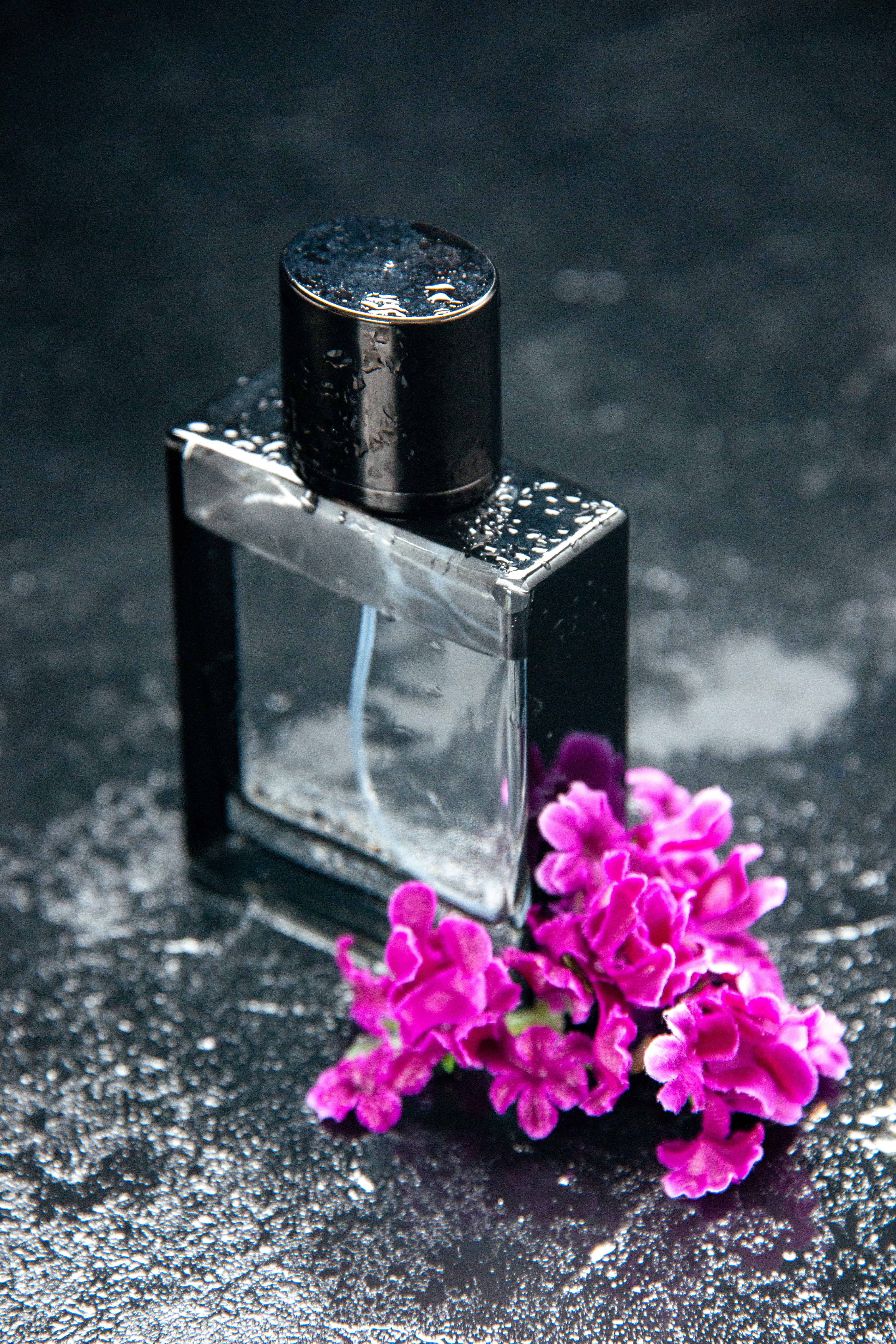 Perfume bottle fragrance