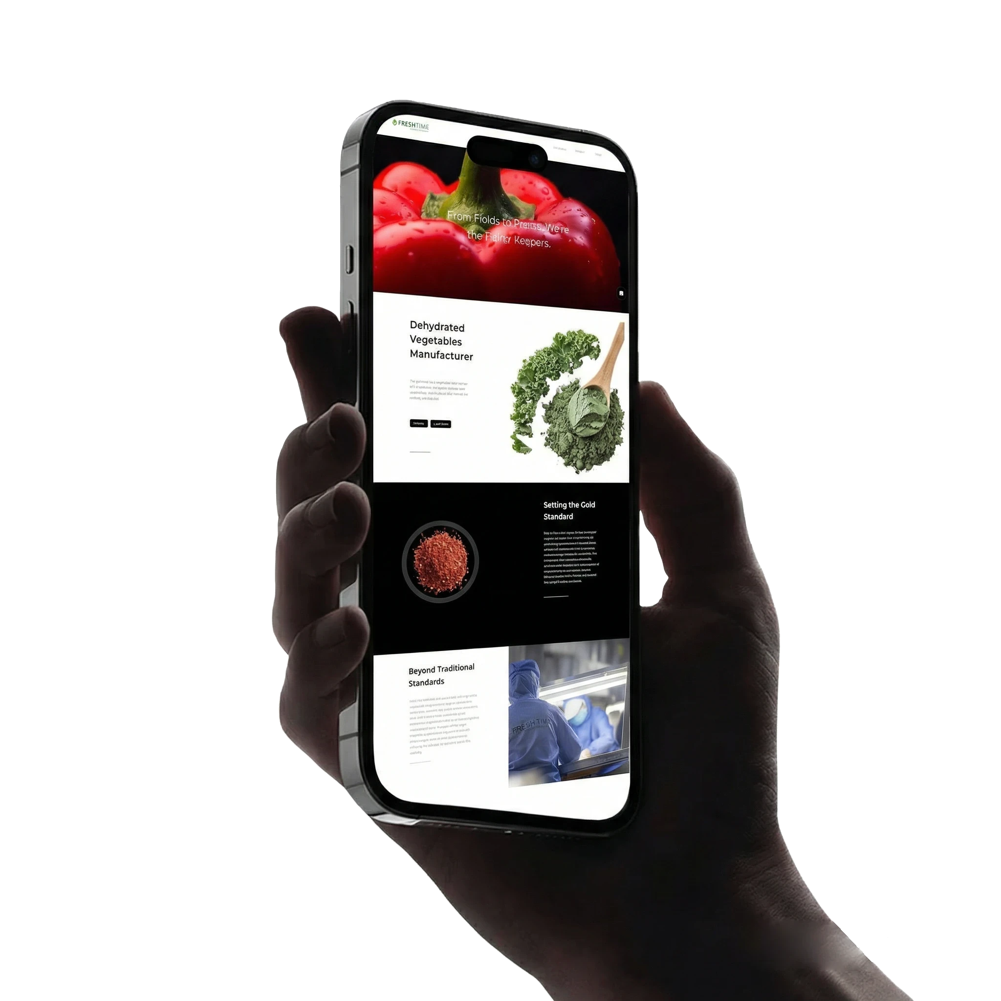 Customer Case11-fresh-time