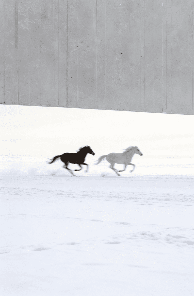 blue and white round illustration