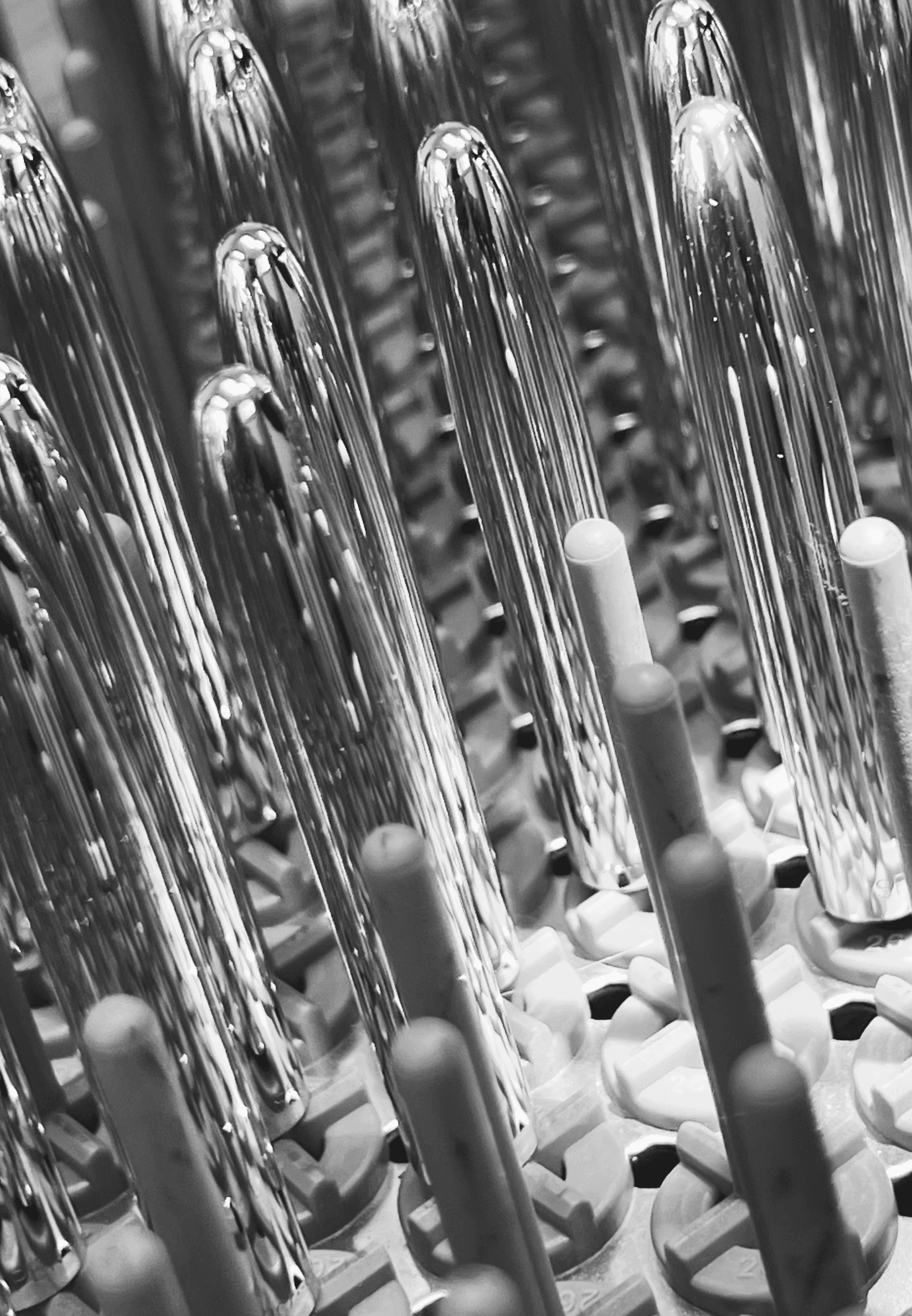 Machine cleaning tray