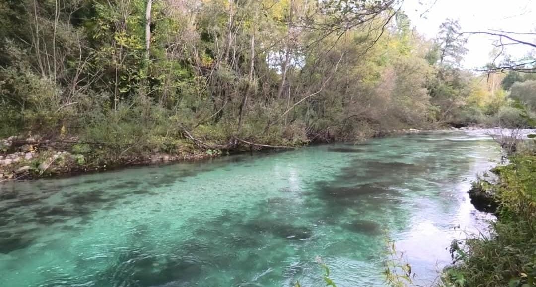 Experience summer hatches and wild trout in the Cavalieri River, perfect for fly fishing.