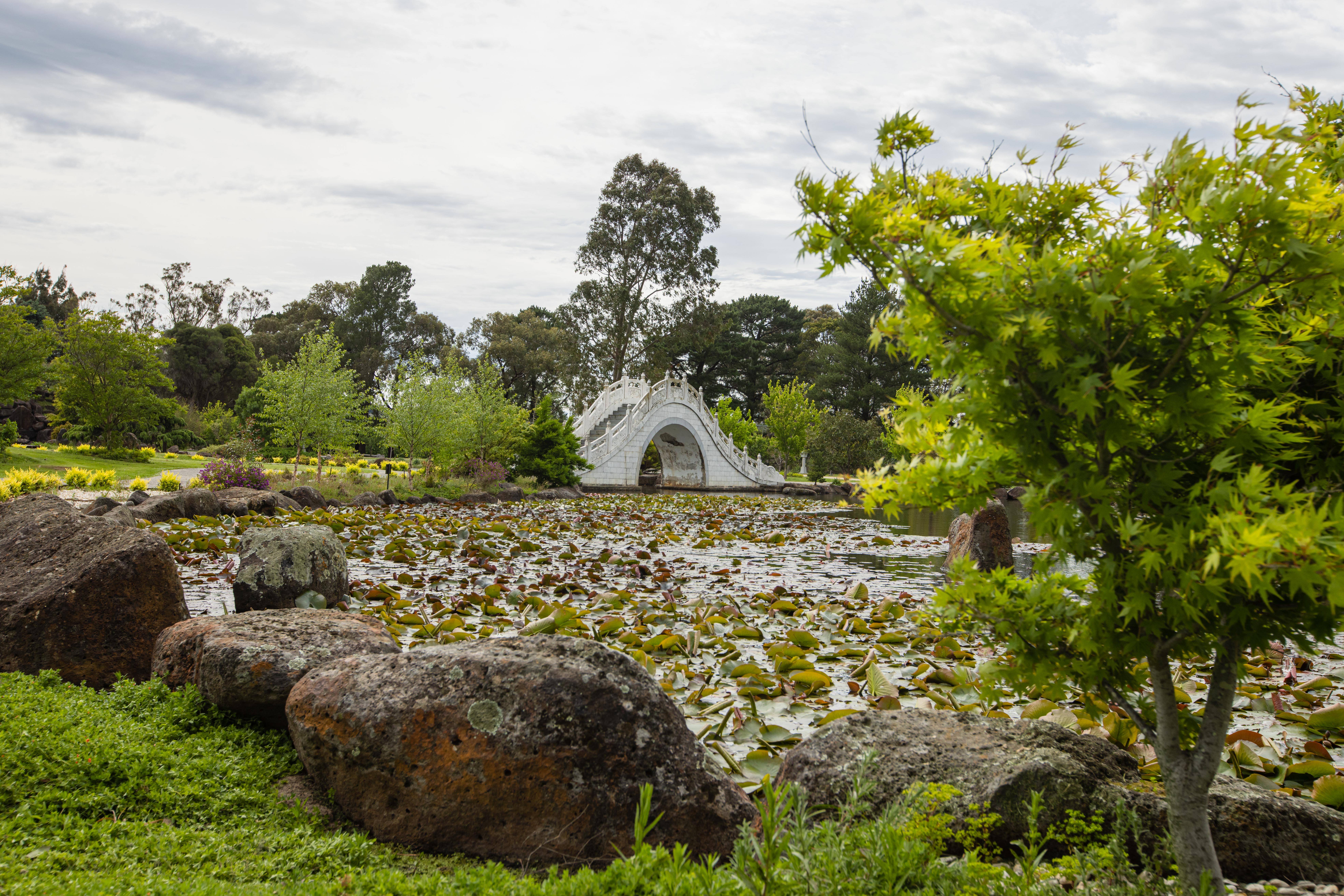 Landscape photo