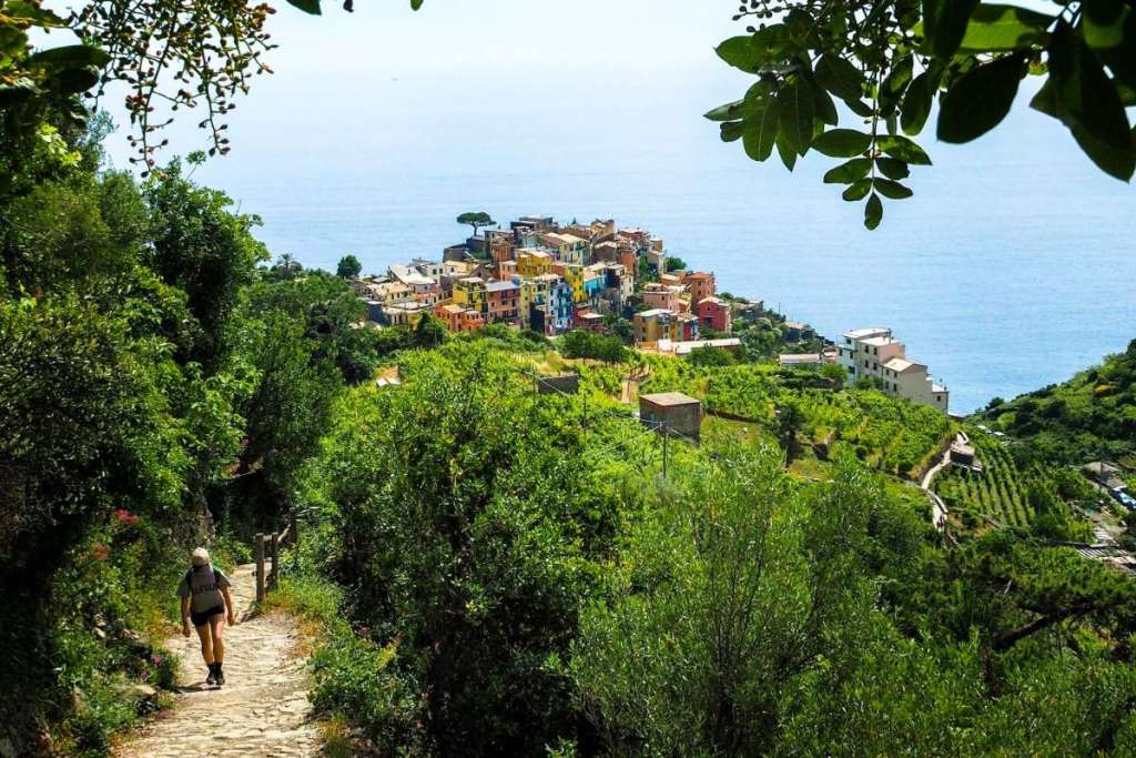 Cinque Terre hiking trail