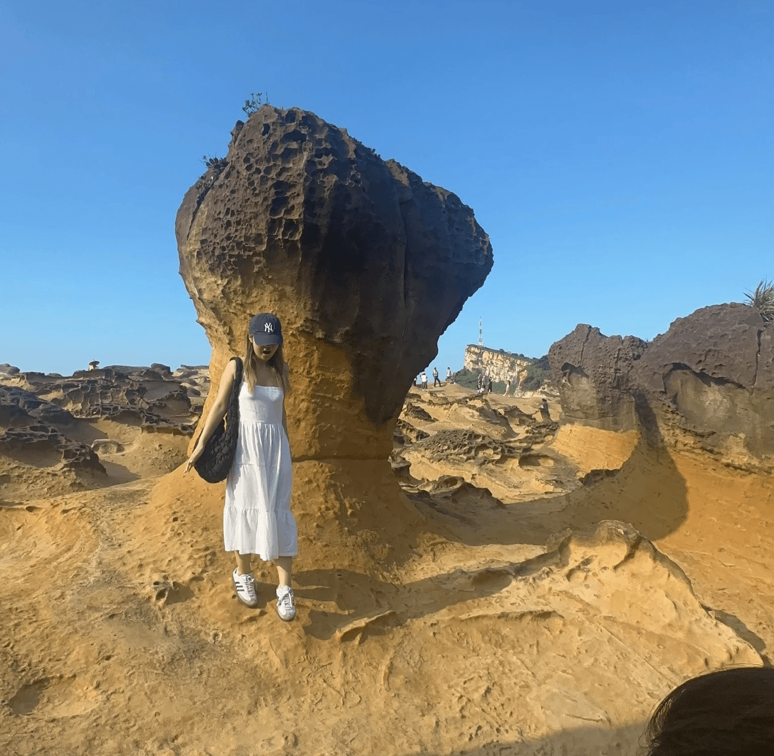 The image featured at the top of the about us page #1