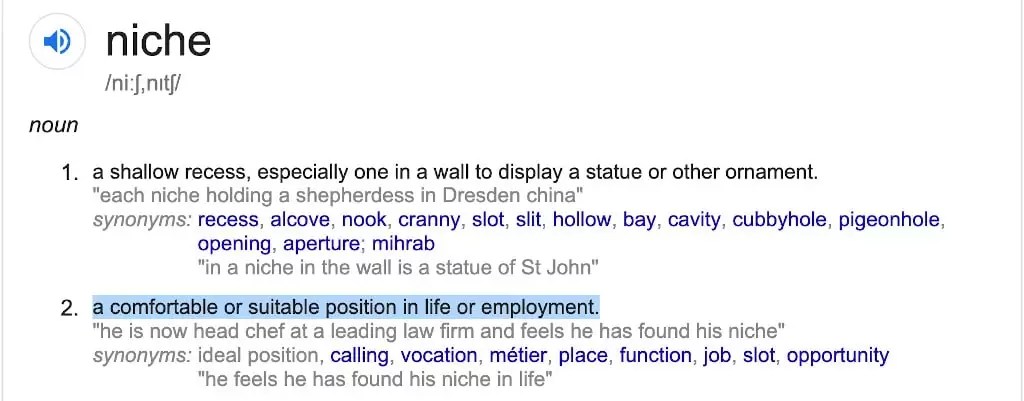 Meaning of Niche - A comfortable or suitable position in life or employment.