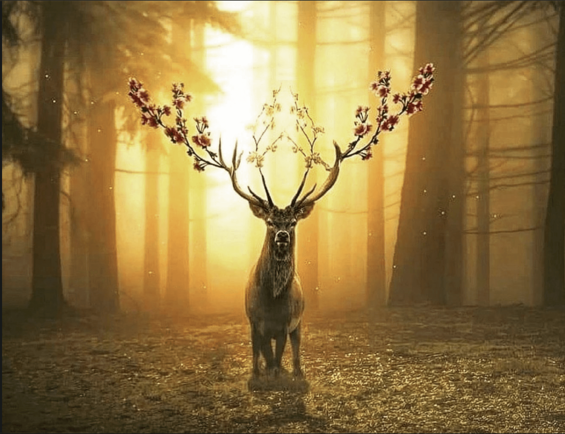 A beautiful young woman smiling at the camera on a mountain field