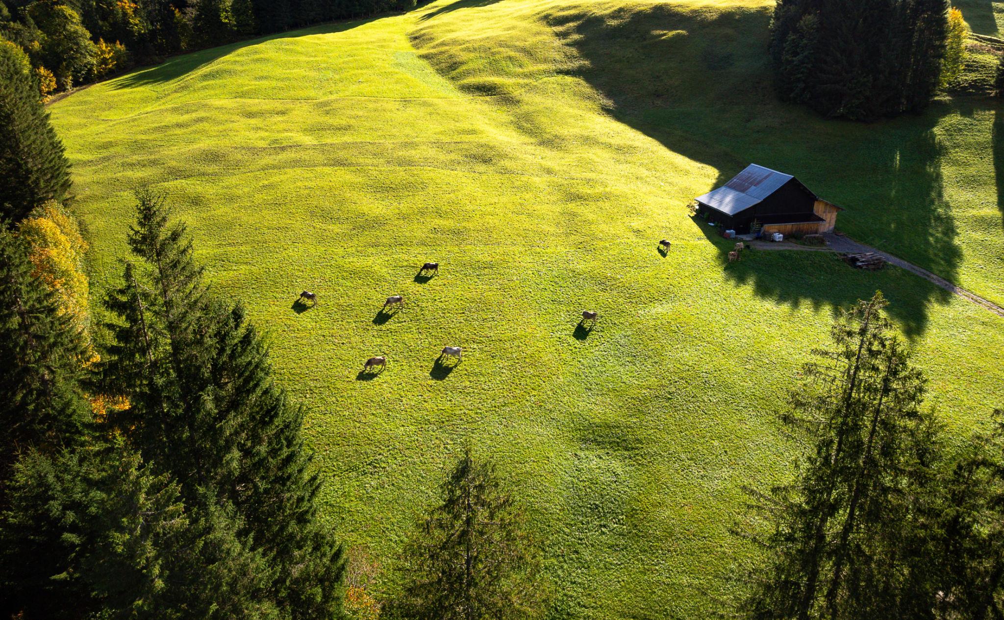 woman smiling with farm harvest