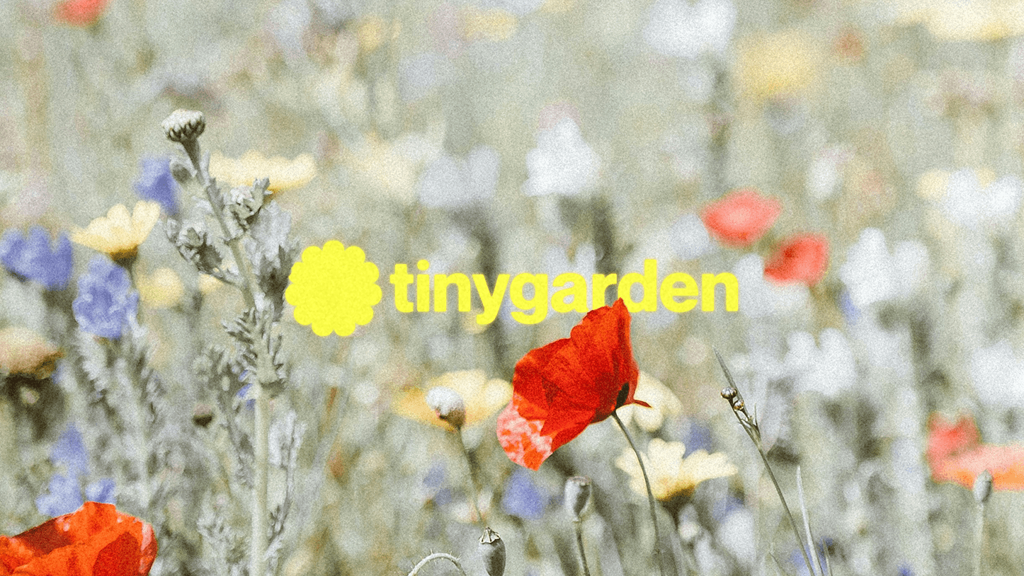 Close up of a man holding design papers