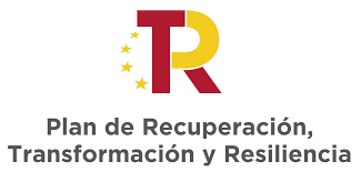 Icon of a stylized burst or spark symbol, representing the idea of innovation and uniqueness in data engineering.