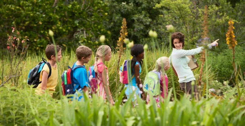 Animation nature en centre de loisirs