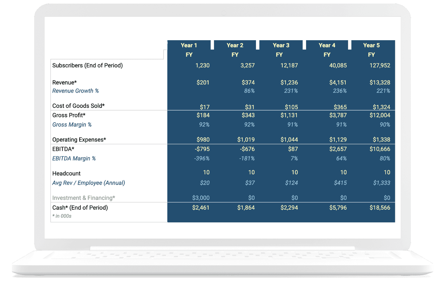 Financial Pitch Deck Slide