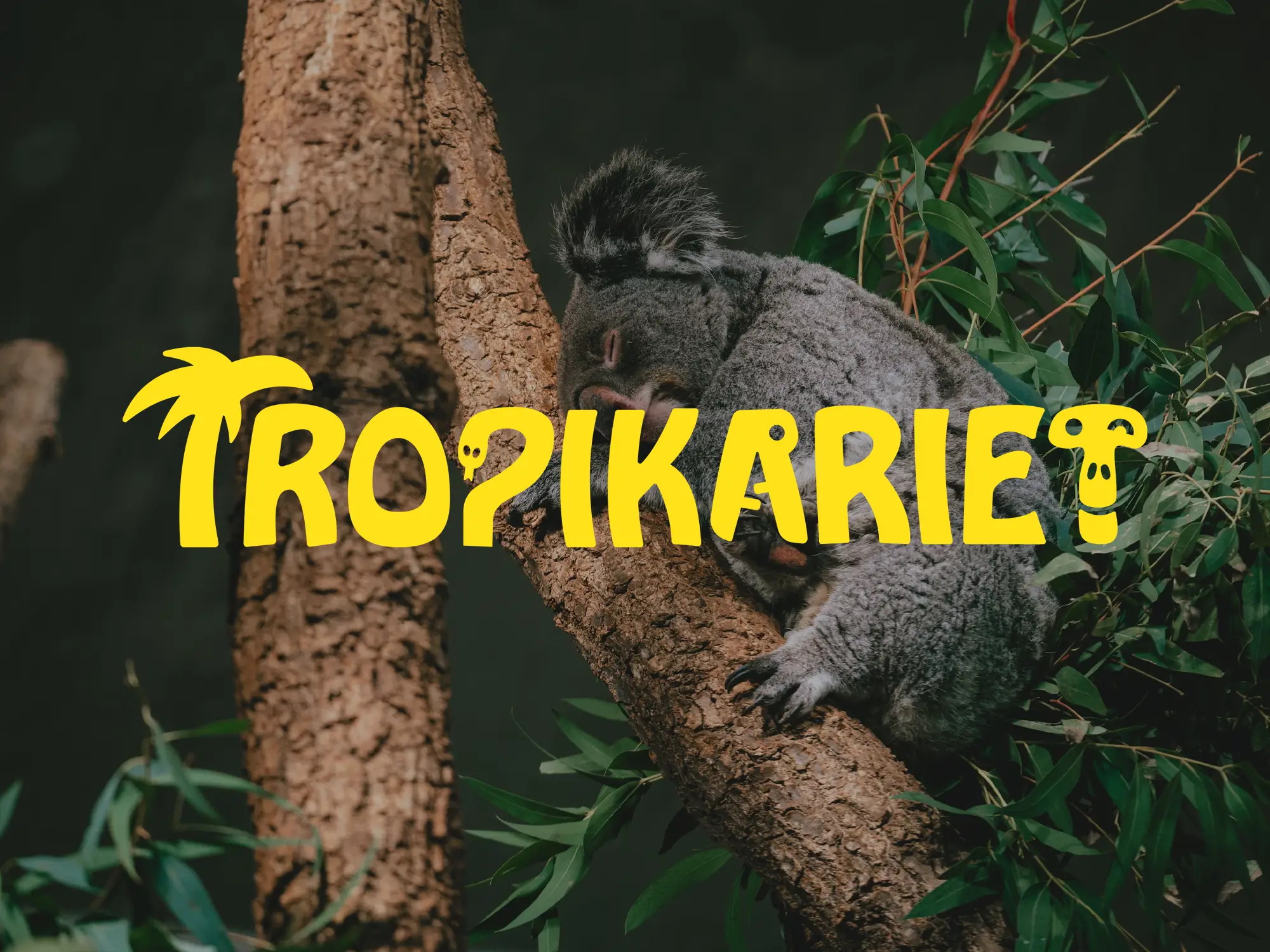 Koncept till Tropikariet, Helsingborg