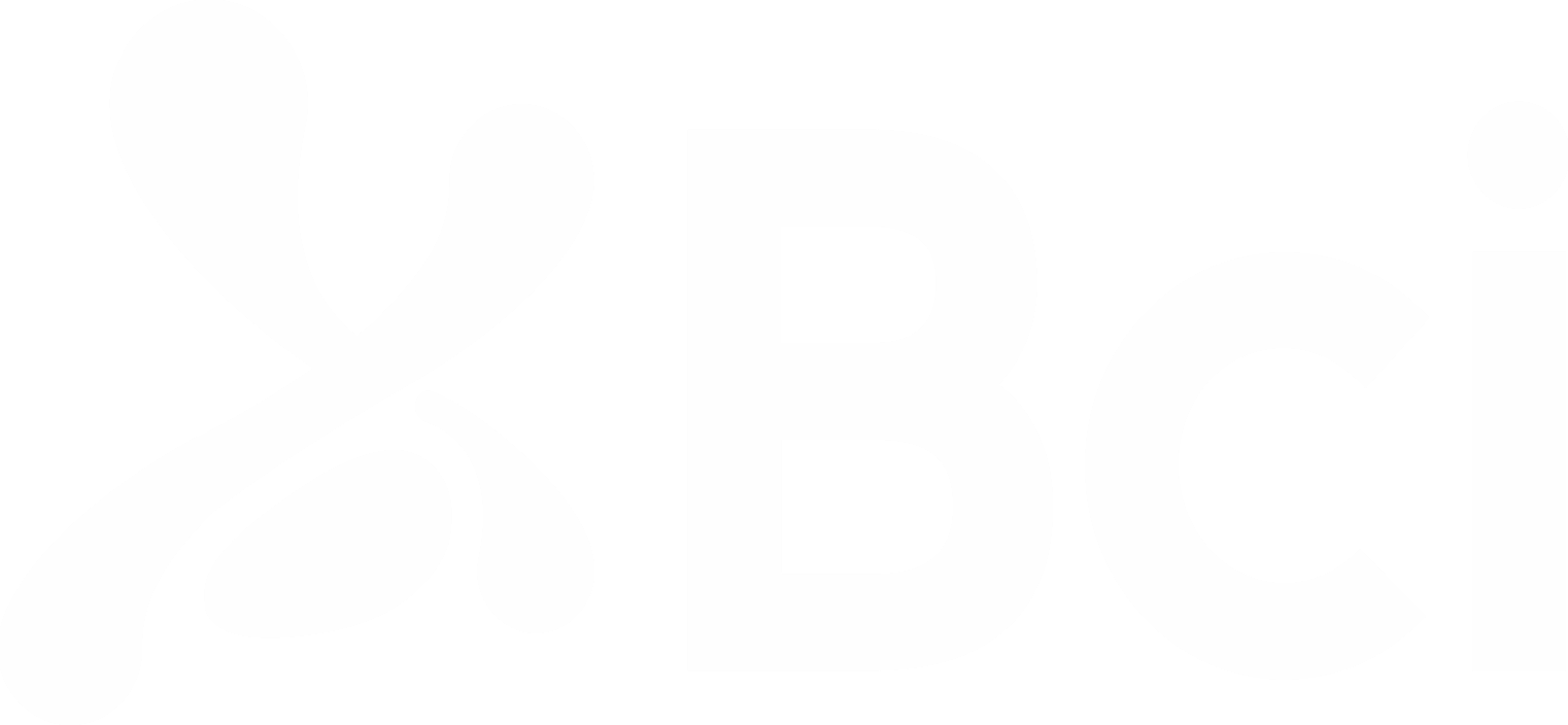 Bci Logo