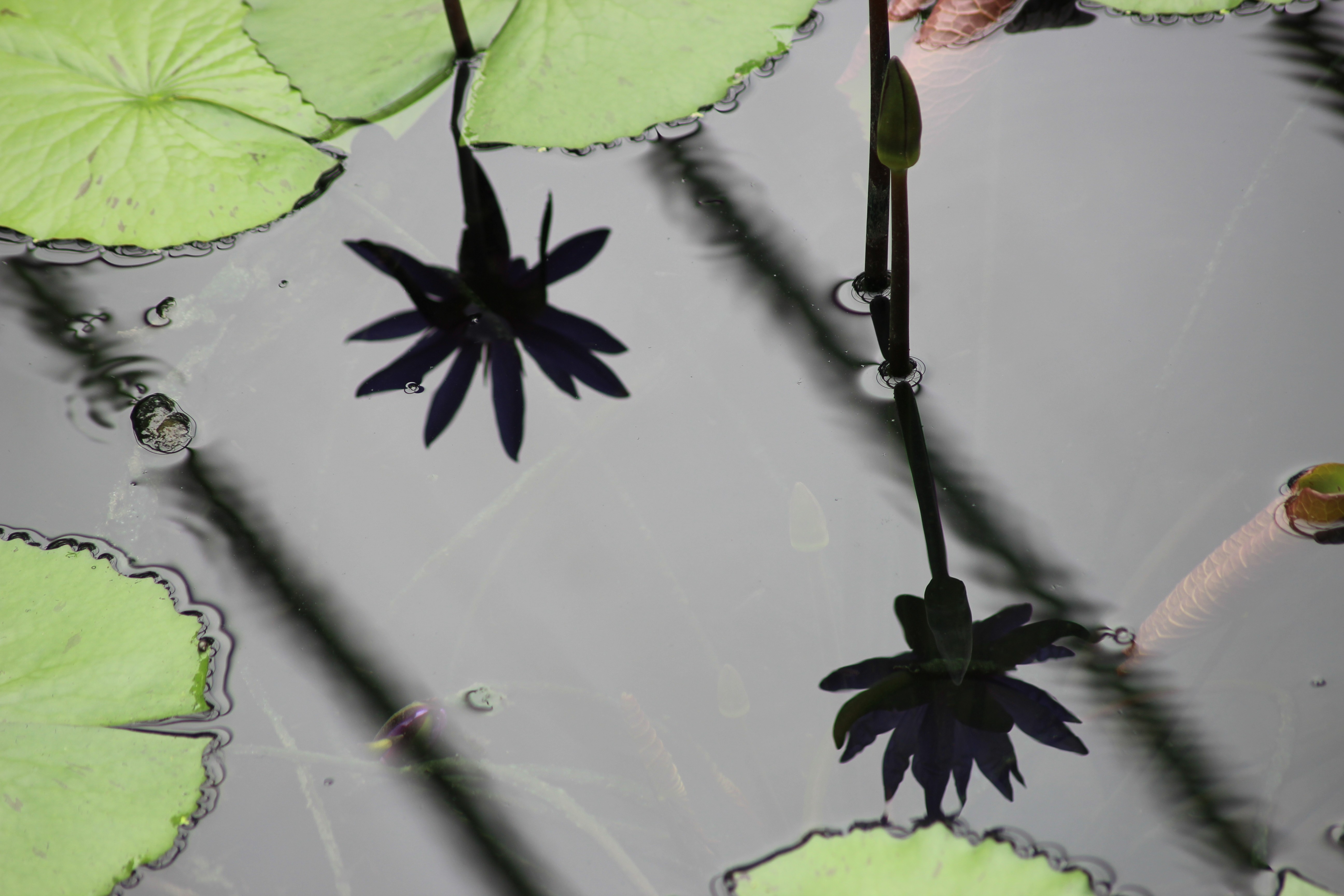 blue sky and white clouds over the sea