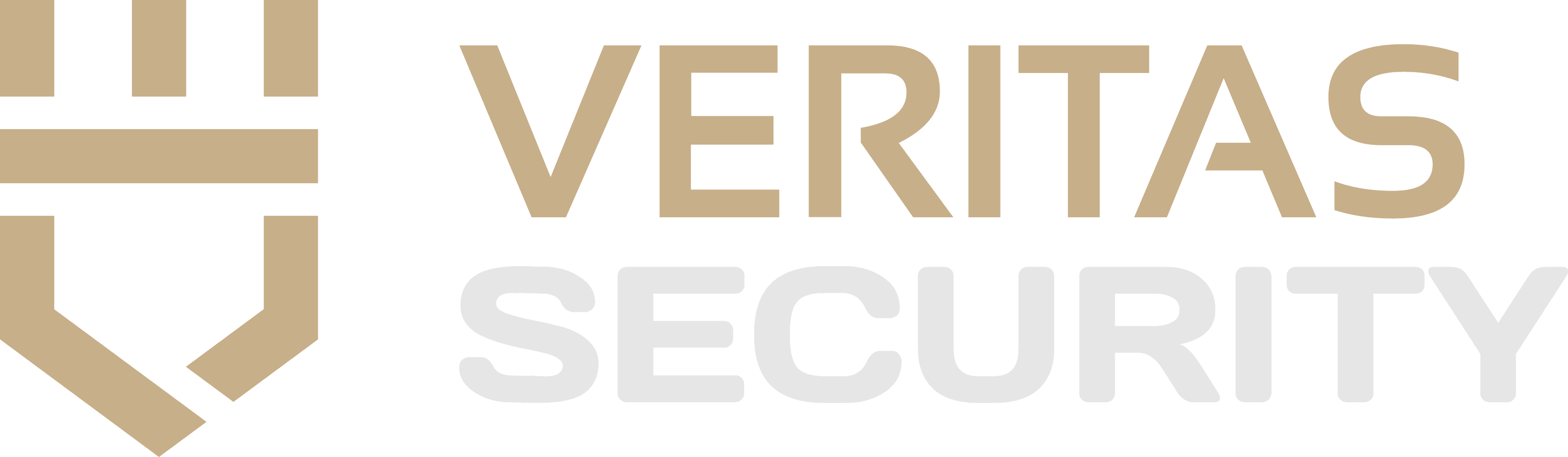 Logo von Veritas Security, erstellt von HT-Studio