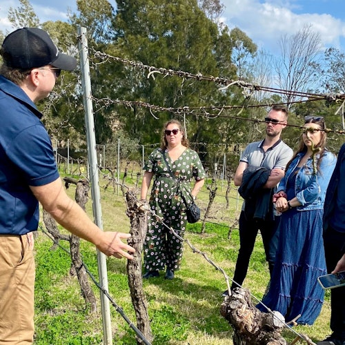 Declan 正带领客人参观葡萄园。