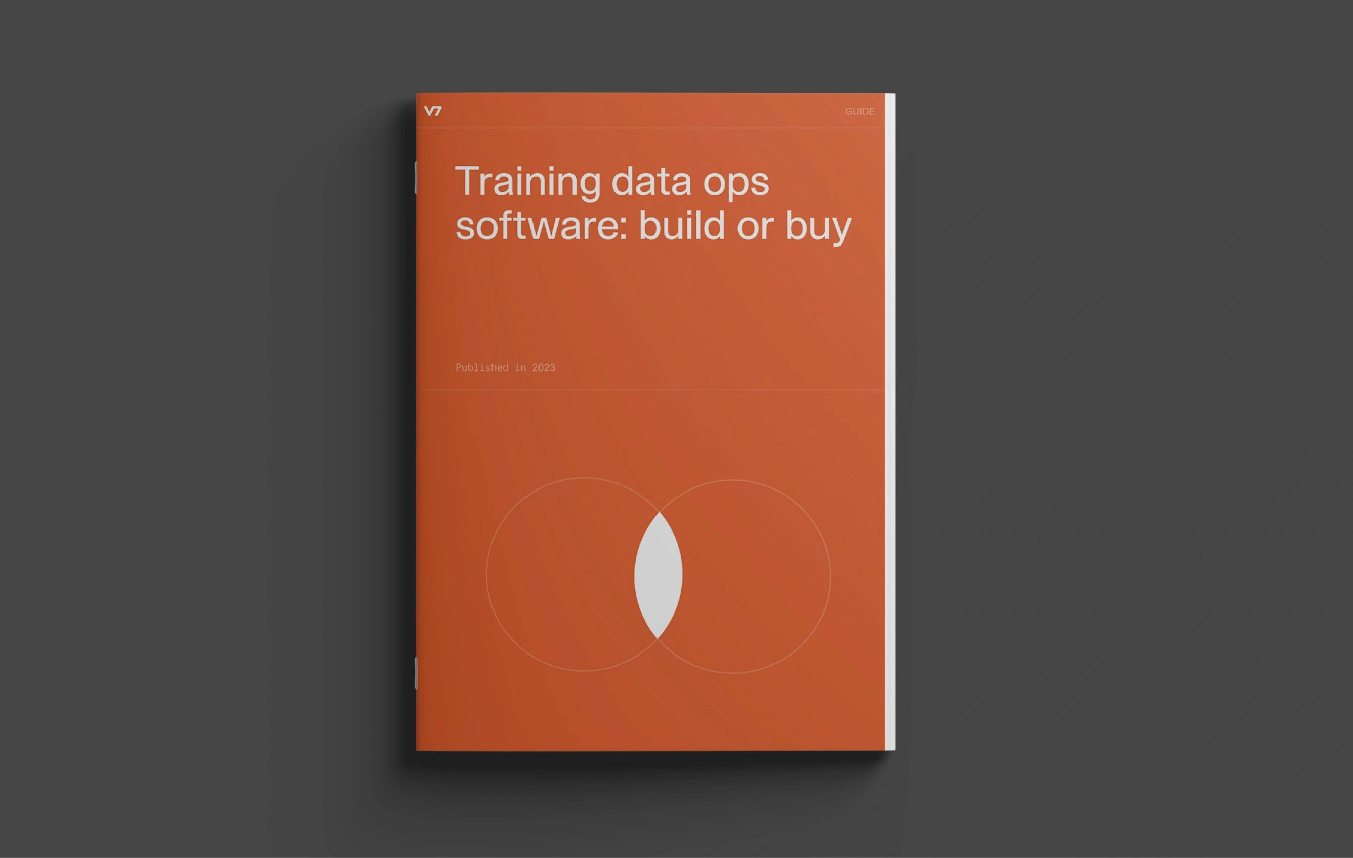 Book titled "Training Data Ops Software: build or buy"