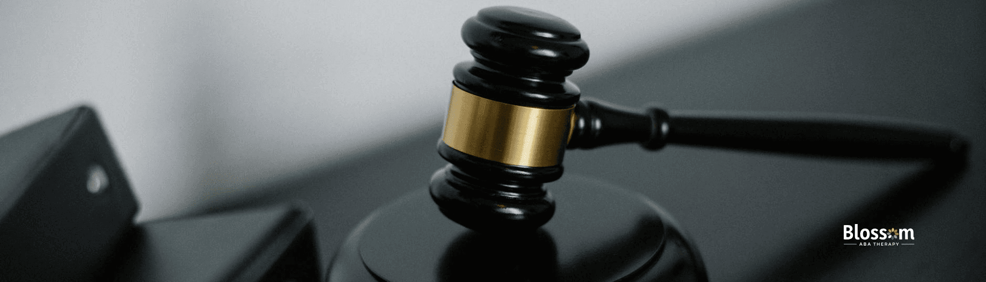Close-up of a wooden judge’s gavel on a dark table in Tennessee, wherein an attorney with autism works.