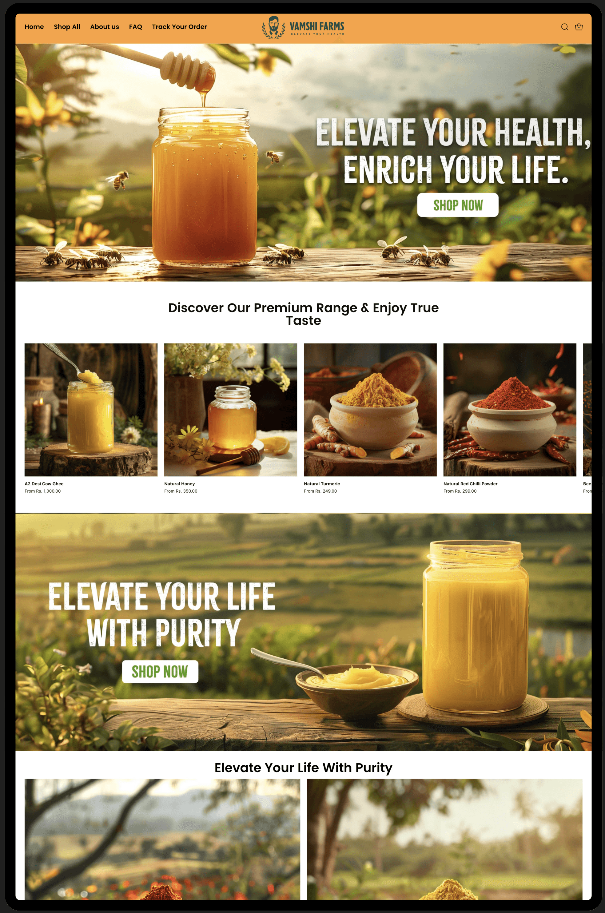 online store project