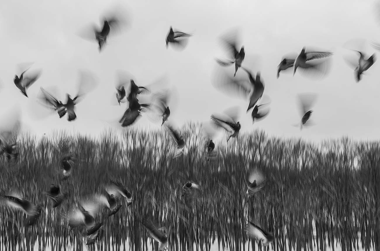 Blog post cover image