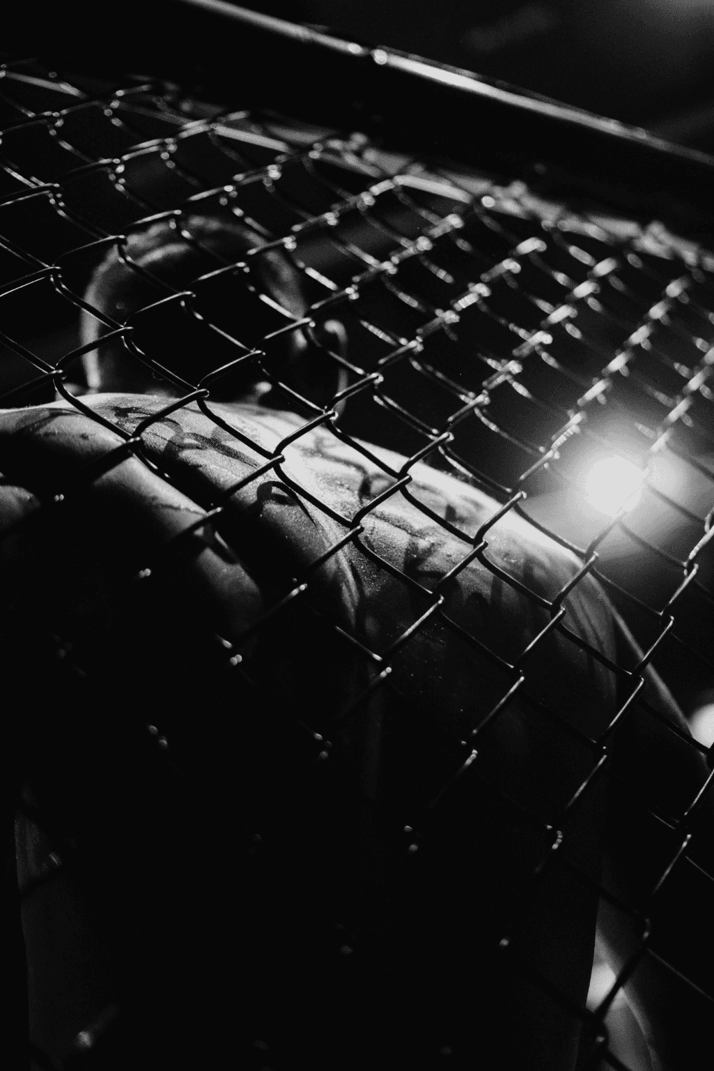 Close-up of a muscular MMA fighter gripping a chain-link cage wall under dramatic lighting.