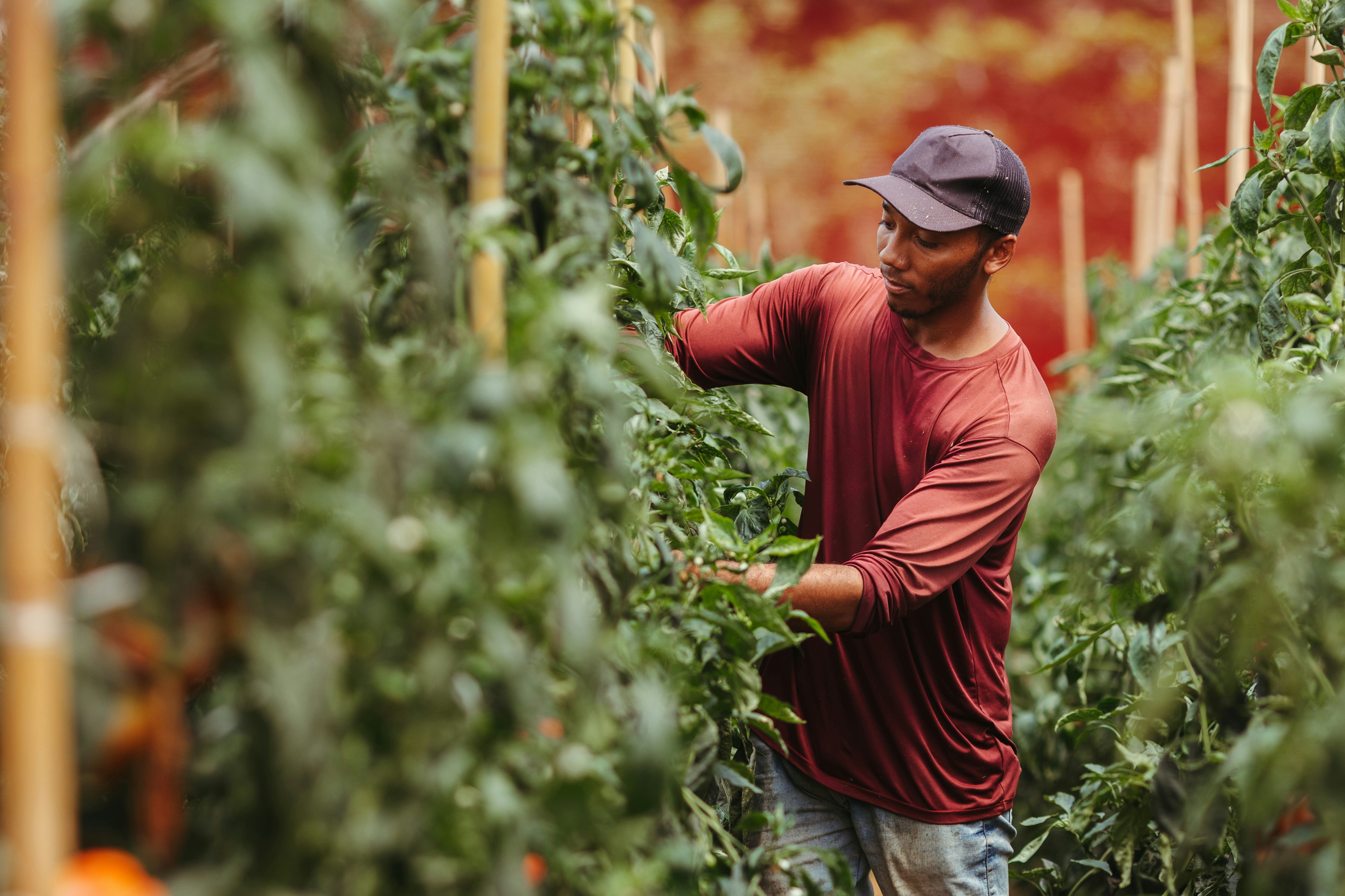 people running on dirt road during daytime