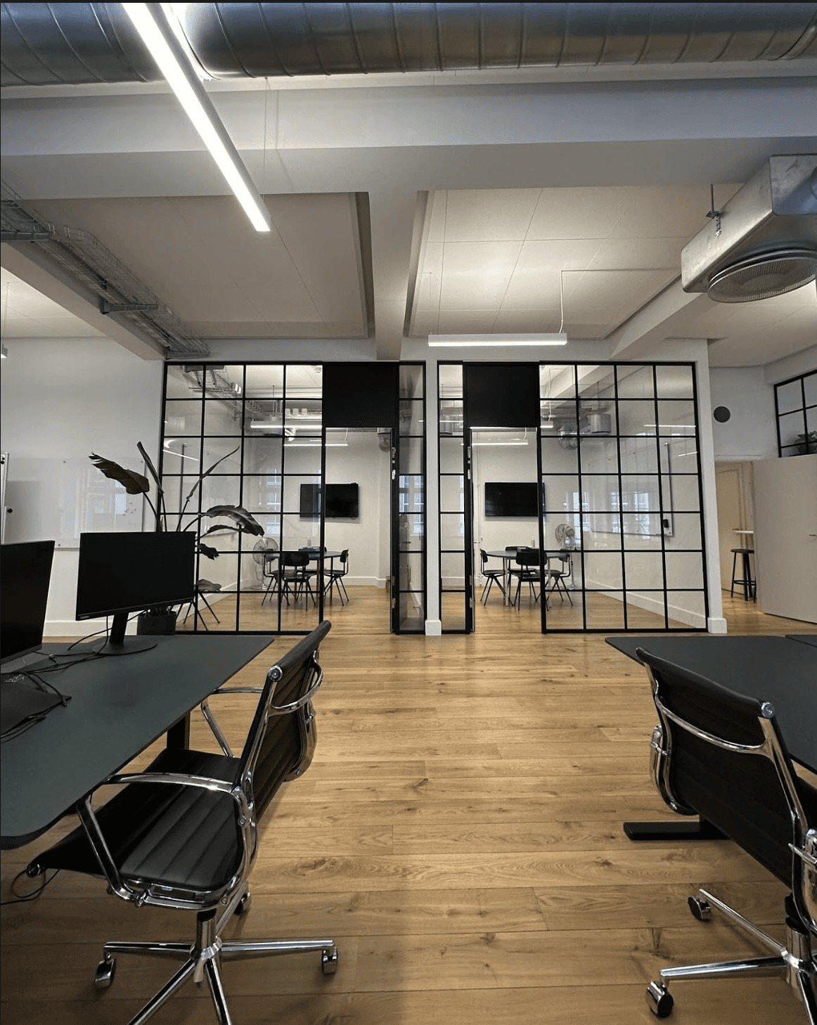 Confident man with short brown hair and beard, wearing a navy zip-up in natural light