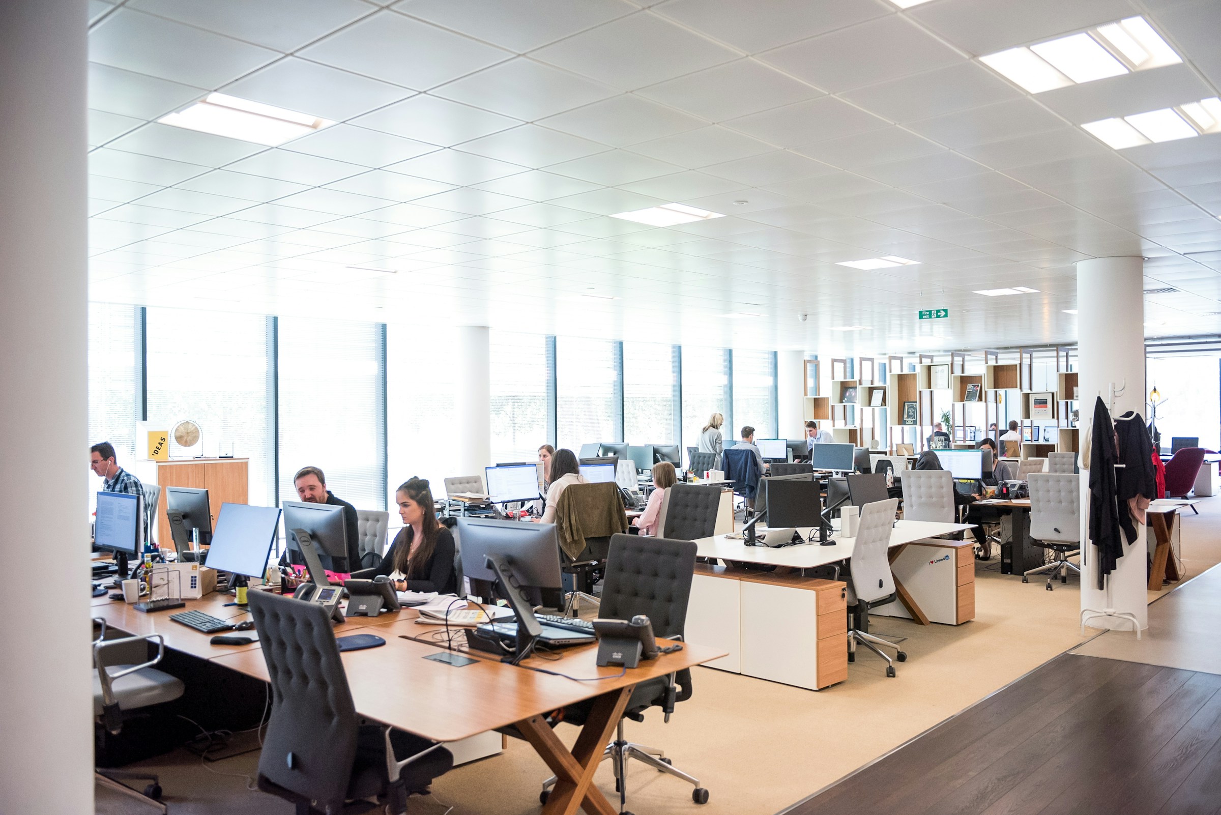 People working at computers in a bright open-plan office