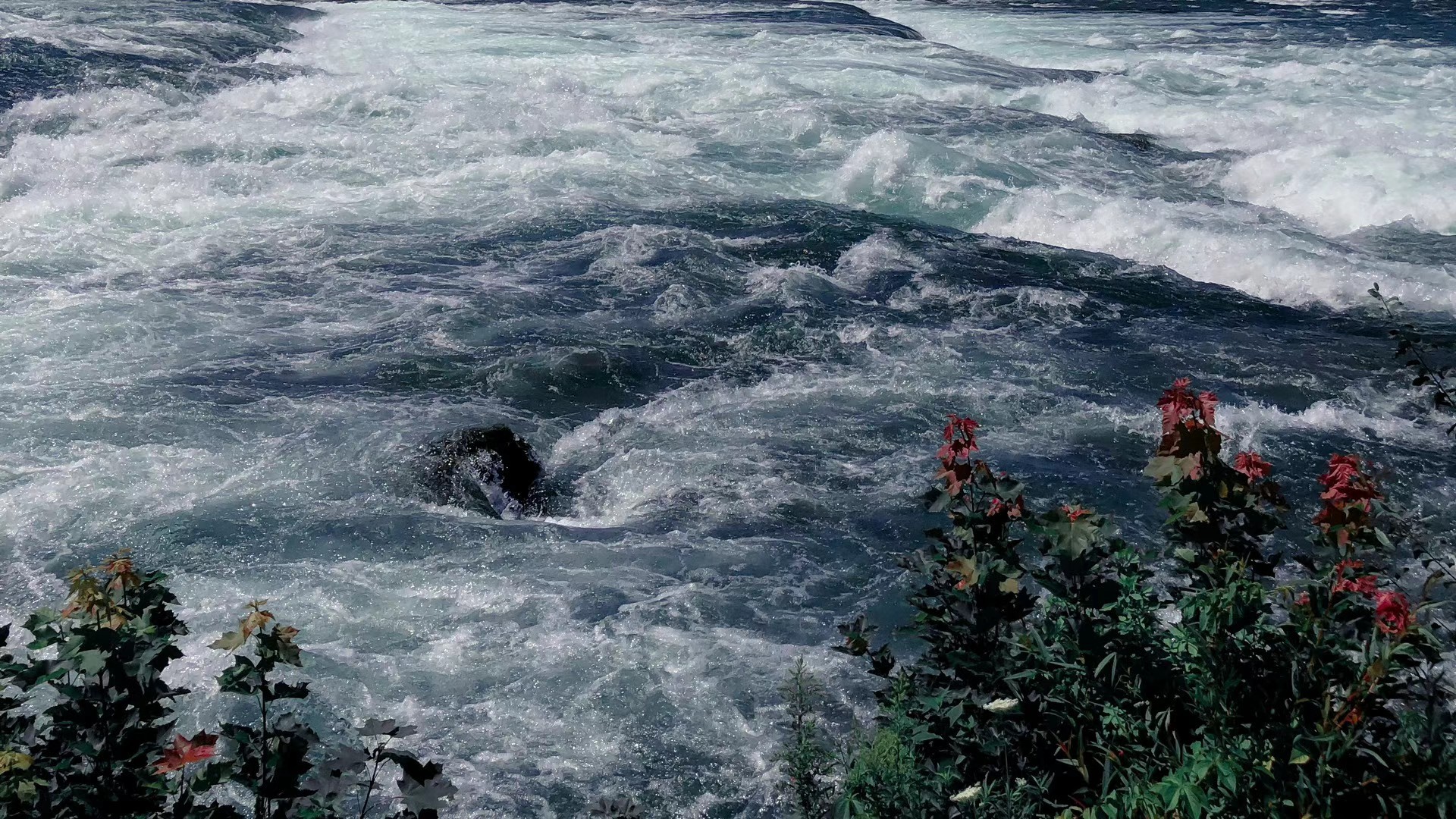 Group of people relaxing outdoors on a field or lawn