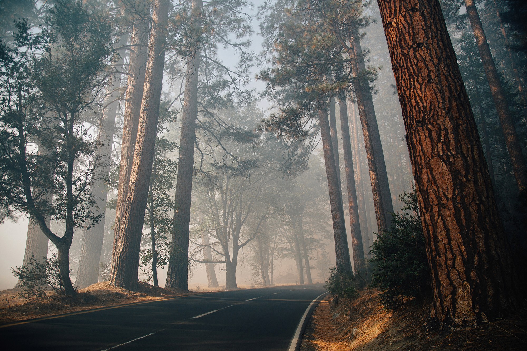 Jesse W Spencer Photography Yosemite Smoke