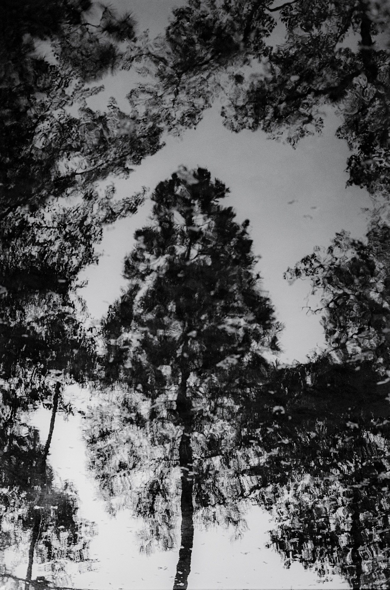 Taisei Matsumoto, 2024 exhibition work 030