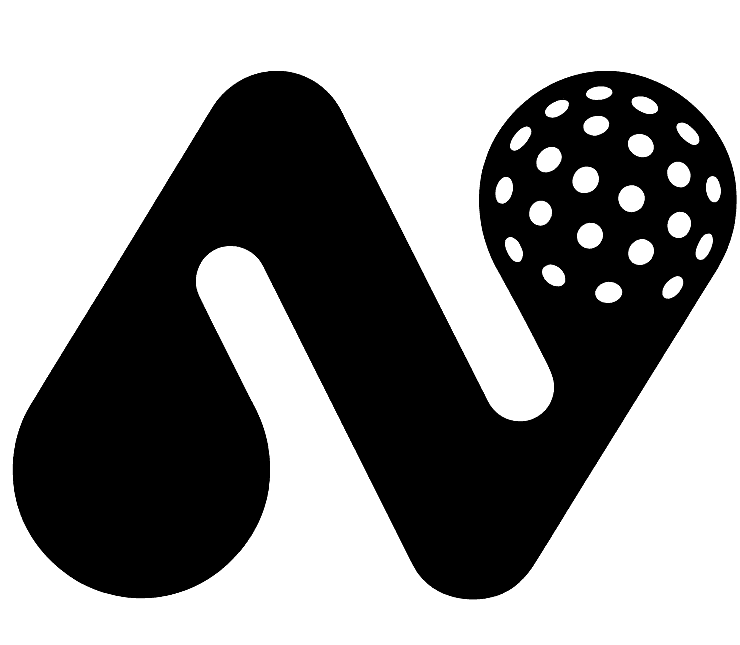 NO VOLLEY ZONE