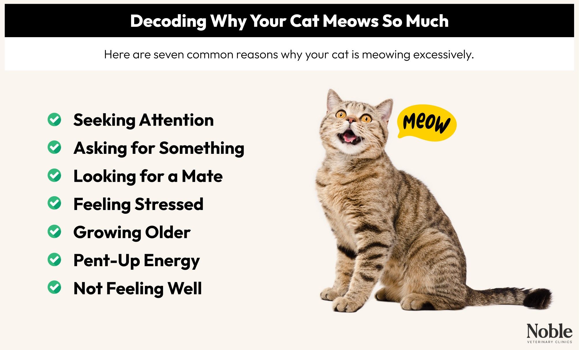 An infographic showing the common reasons why your cat is meowing so much, including asking for something, feeling stressed, and not feeling well.