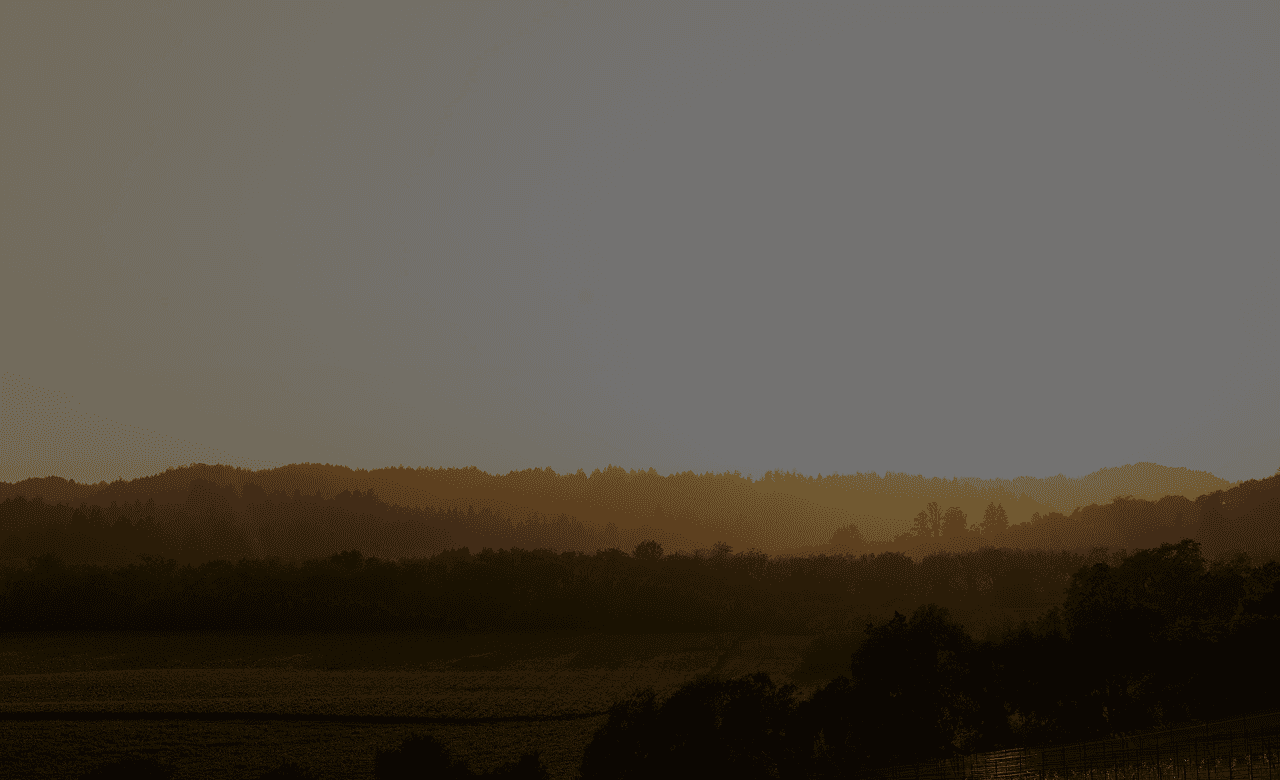 Blue chemical Solution beaker