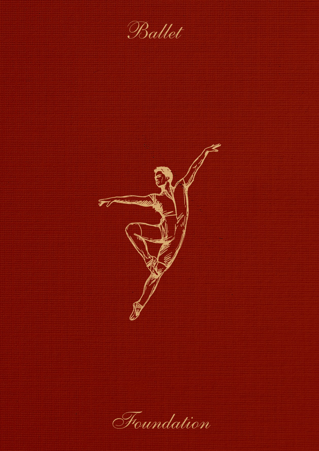 Jamiyandagva Ballet Foundation illustration