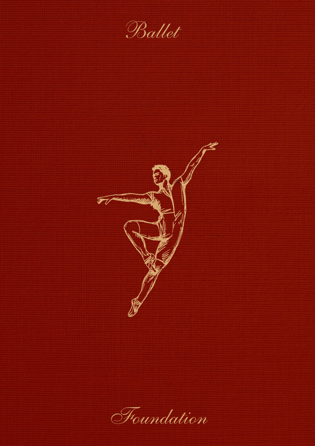 Jamiyandagva Ballet Foundation illustration