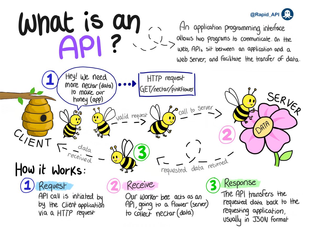 Alex Xu on X: "What is an API. By @Rapid_API We are working on a video about RESTful API: 🔹 What is it 🔹 Why is it so popular 🔹 What are