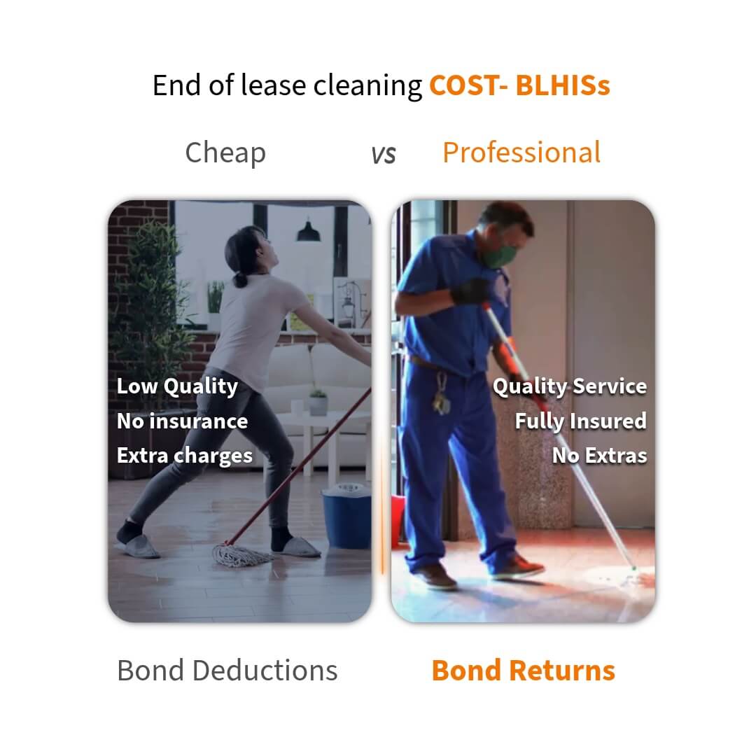 difference between cheap and profesional cleaners