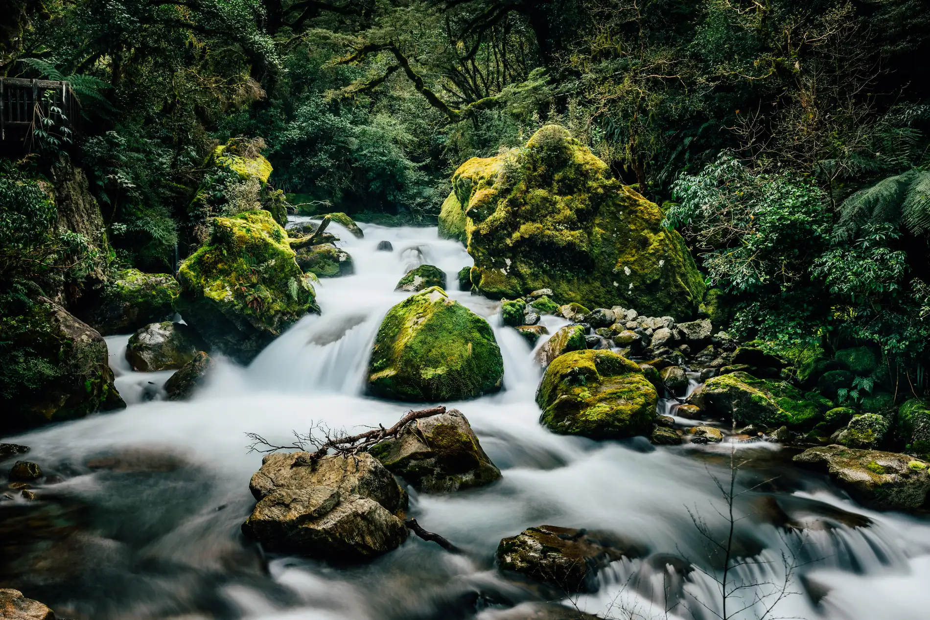 A stream running over moss-covered boulders in deep rainforest, shot long exposure