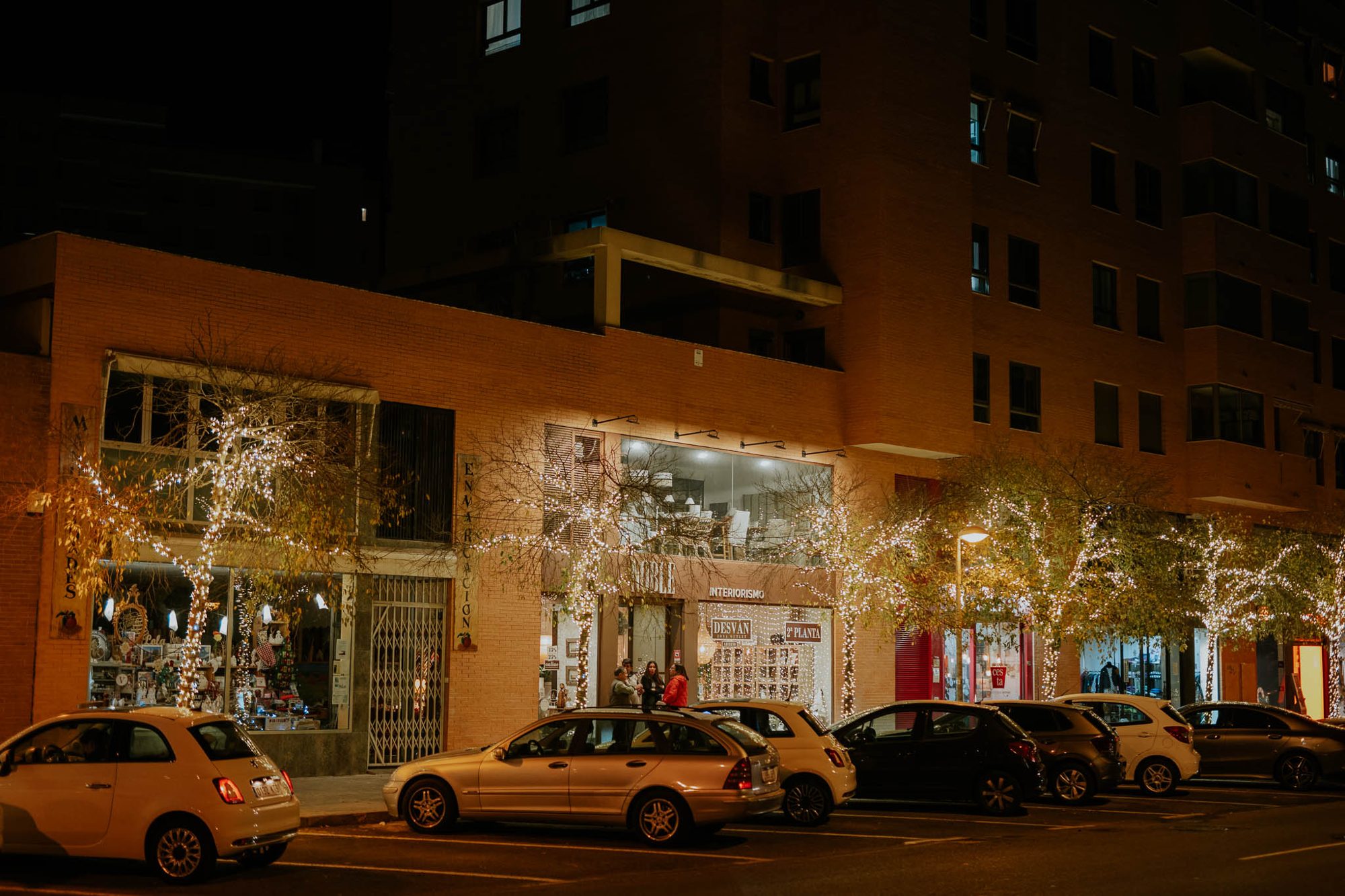 Proyecto 20 · NAVIDAD Y LUZ DECORATIVA · Ledilux