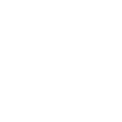 Manifesting your vision into a tangible brand reality.