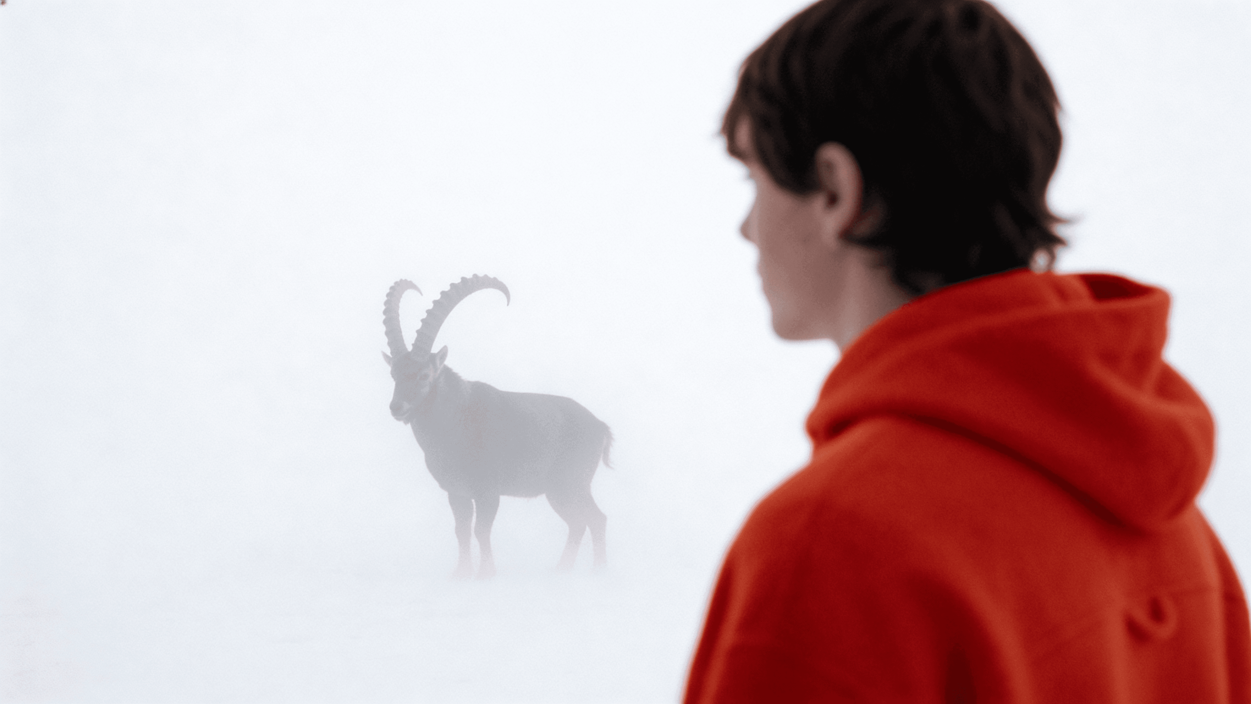 Heavy film grain overlay on monochrome texture, High-contrast DaVinci Resolve grading, Analog film emulation, Tactile Digital Art, Engineered by Aventi