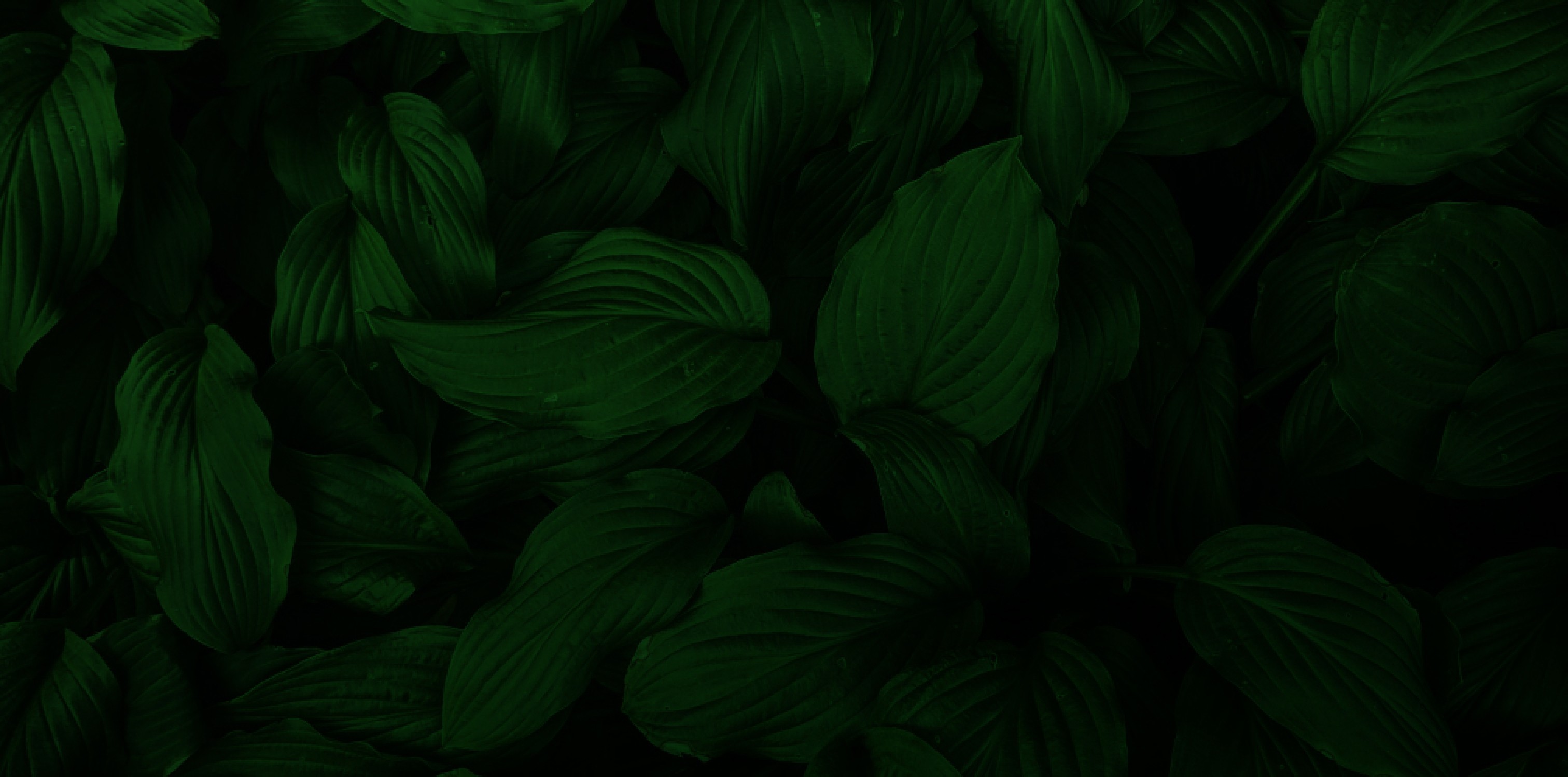 Smart & Green Background Image