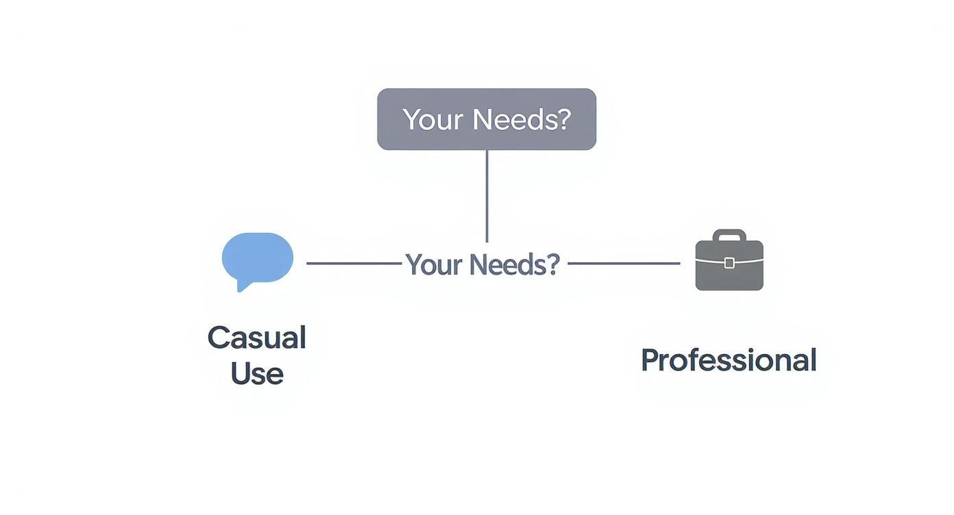 Infographic about dictation app for mac