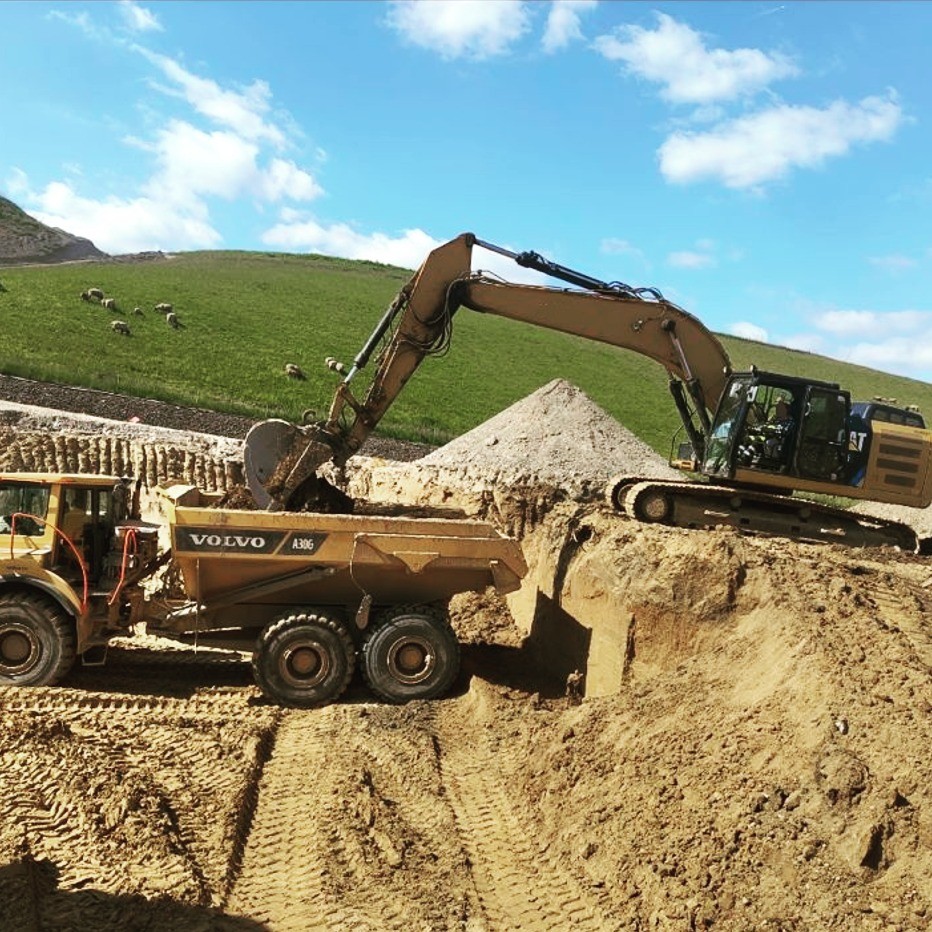 Vintage Car Under Palm Trees