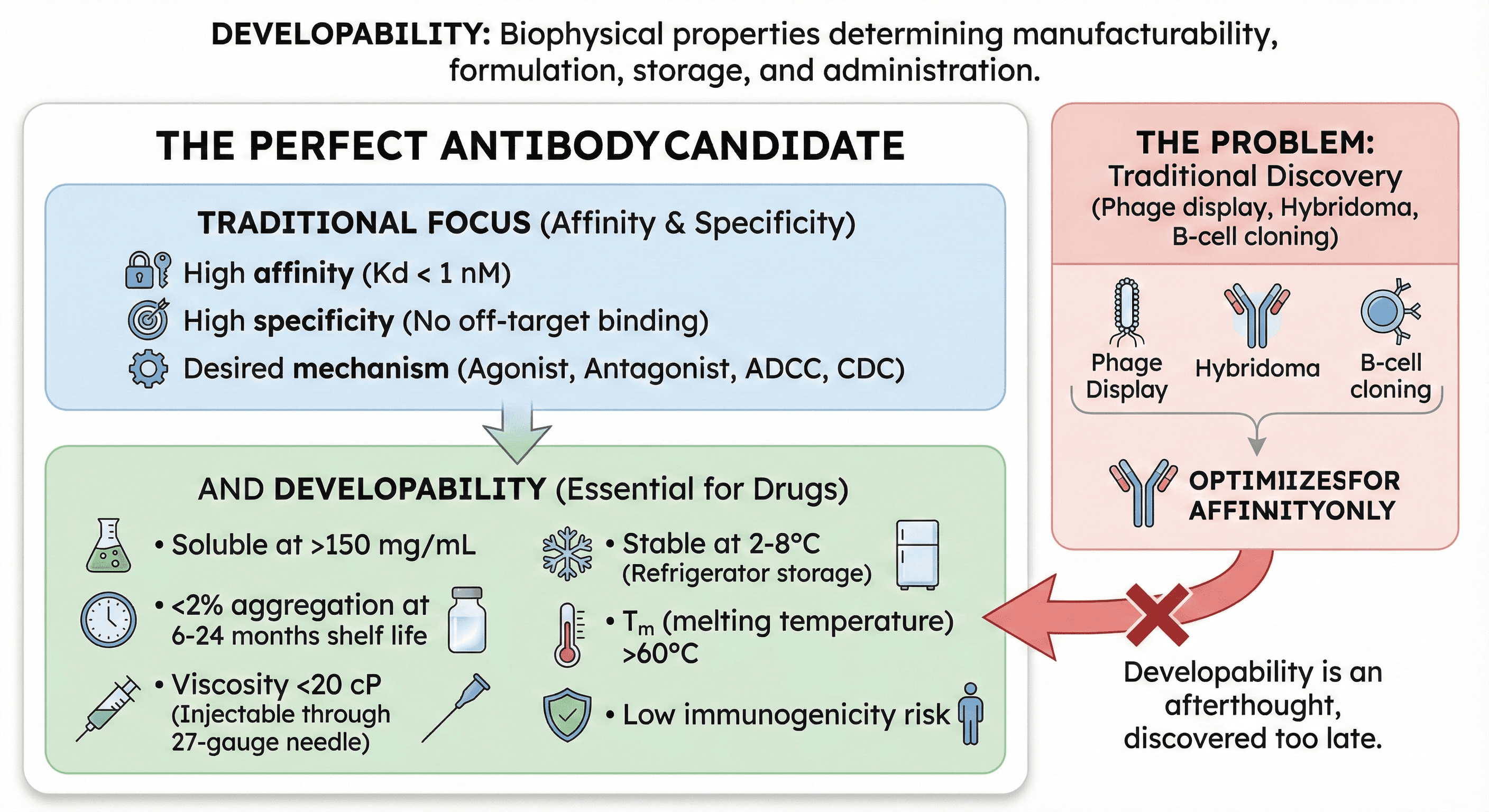 Diagram Showcasing Antibody Developability Essentials